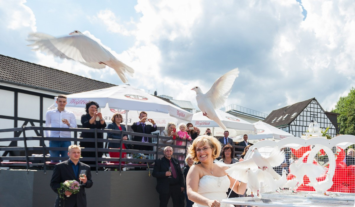 Tauben Für Hochzeit
 Weiße Hochzeitstauben zur Hochzeit fliegen lassen