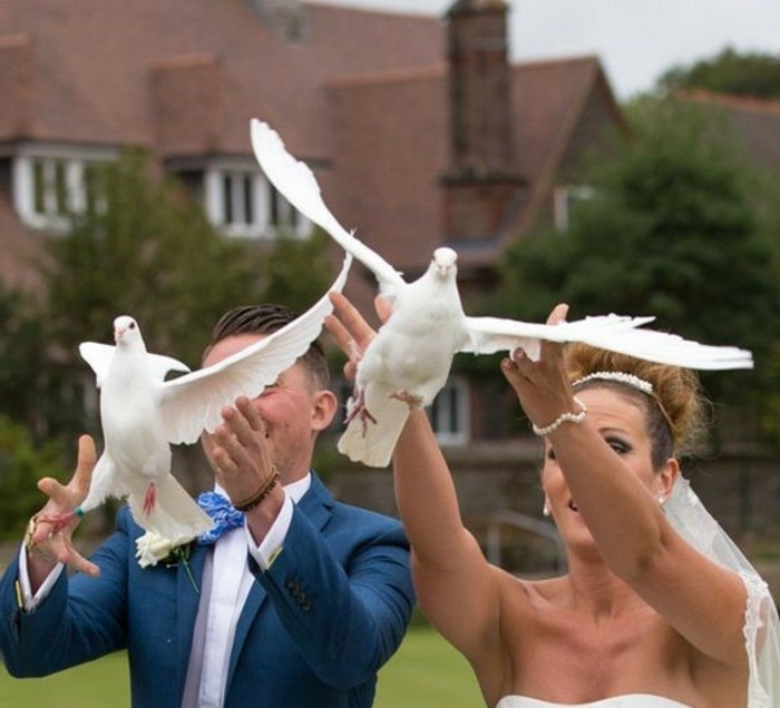 Tauben Für Hochzeit
 Tauben zur Hochzeit sind bestimmt ein Glücksbringer