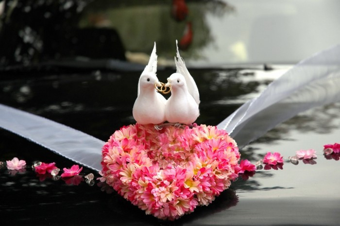 Tauben Zur Hochzeit
 Tauben zur Hochzeit sind bestimmt ein Glücksbringer