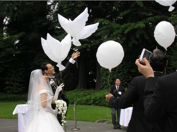 Tauben Zur Hochzeit
 Die weiße Taube als Dekoartikel 24 Bilder Archzine