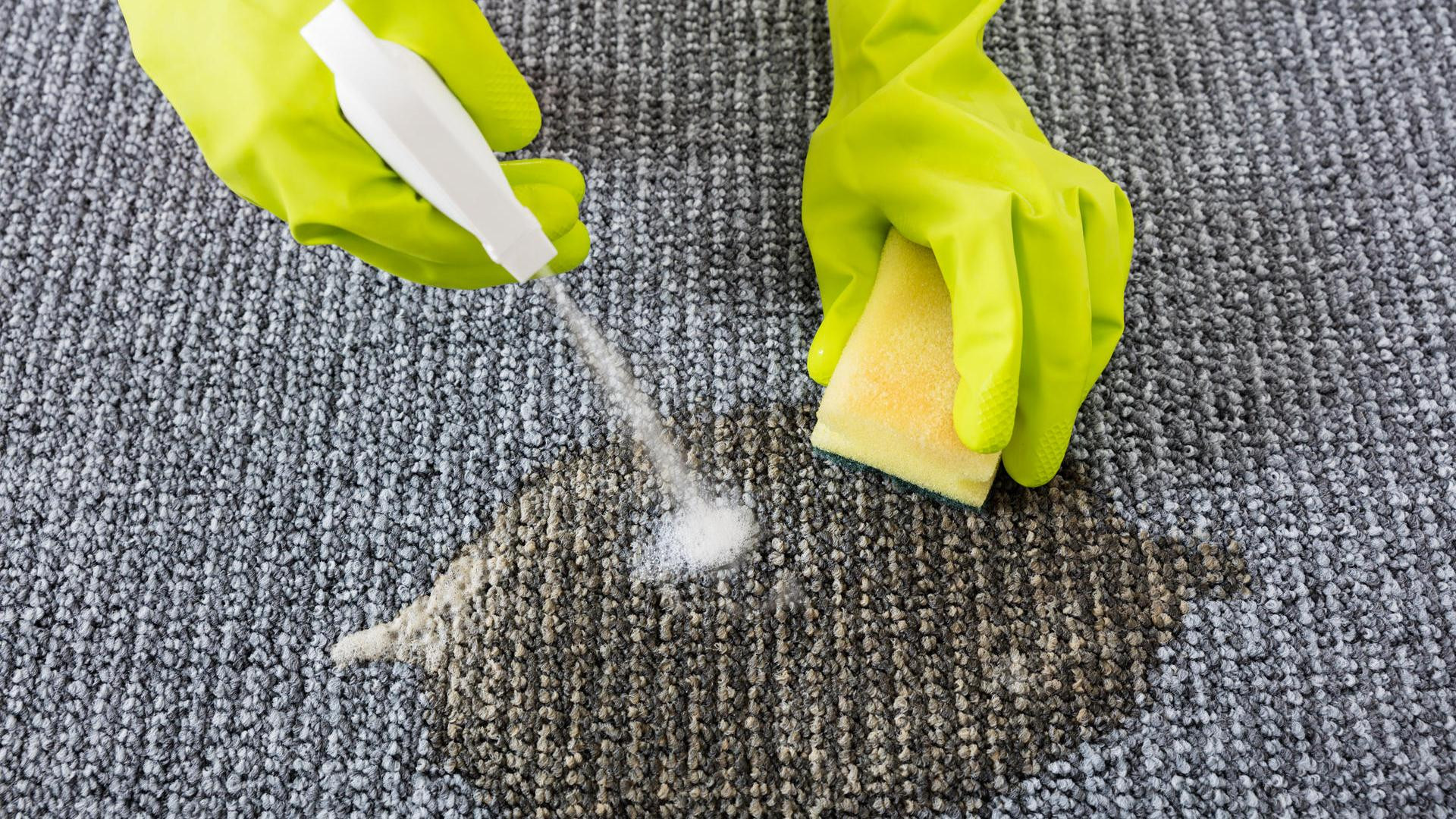 Teppich Reinigen
 Teppich reinigen – Tipps mit und ohne Staubsauger
