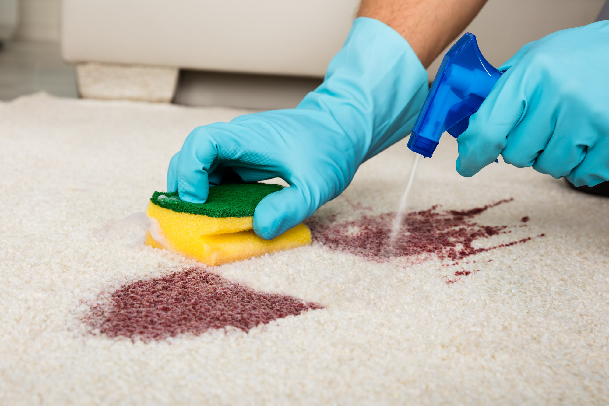 Teppich Reinigen
 Teppich reinigen Tipps Tricks und Geheimnisse aus der