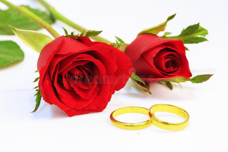 The Rose Deutsch Hochzeit
 Rote Rosen und Hochzeits Ringe Stockbild Bild von weiß