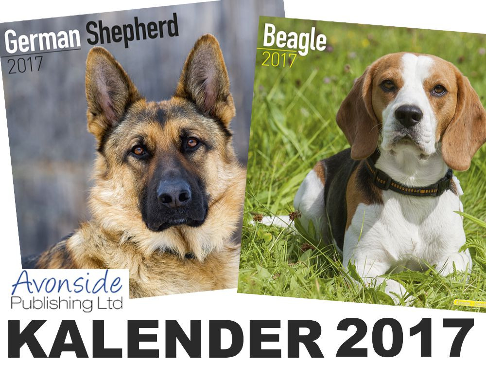 Tierisch Tolle Geschenke
 Tierkalender 2016 Hundekalender und Katzenkalender