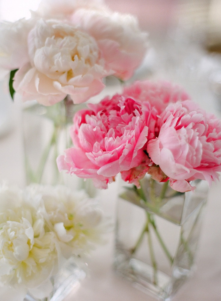 Tischdeko Hochzeit Rosa
 Tischdeko Hochzeit Pfingsrosen rosa pink