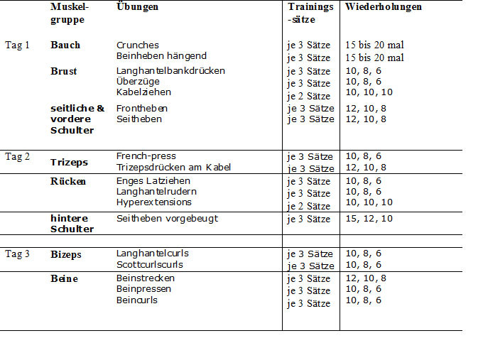 Trainingsplan Für Zuhause
 Mit dem Trainingsplan „Muskelaufbau für Anfänger“ zum Erfolg