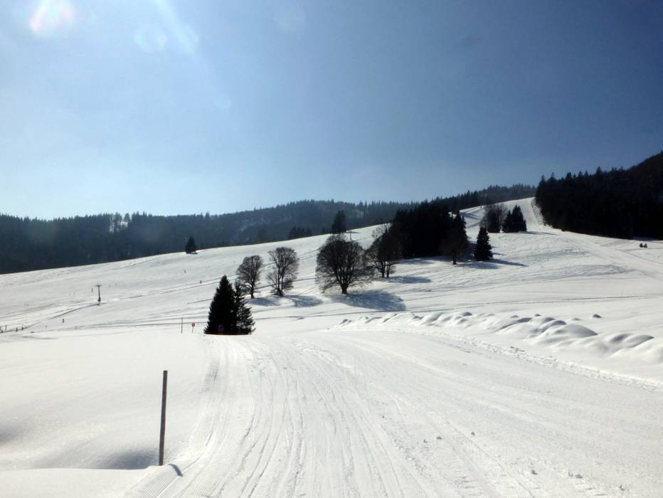 Tränke St Blasien
 Bilder Menzenschwand St Blasien – Spießhorn Fotos