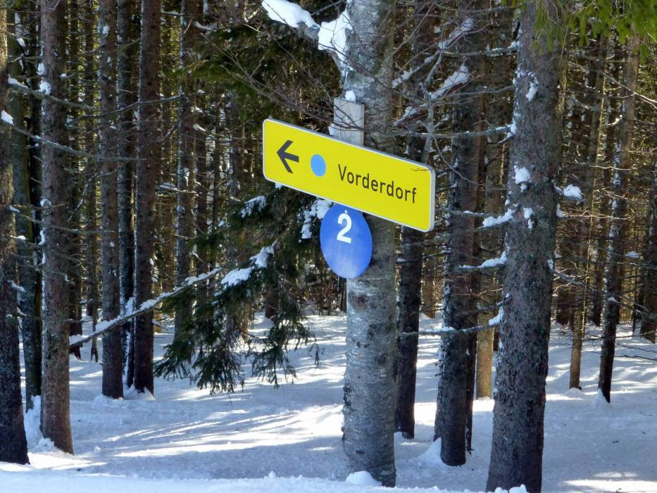 Tränke St Blasien
 Bilder Menzenschwand St Blasien – Spießhorn Fotos