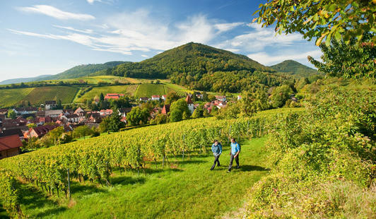 Tropfsteinhöhle Rheinland Pfalz
 Wanderreise Die Pfalz – Wandern zwischen Fels Wein und