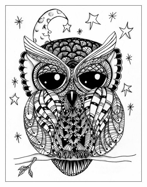 Tumblr Ausmalbilder
 owl art bird print Tumblr owls Pinterest