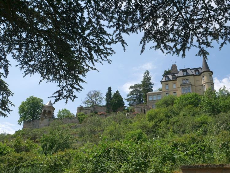 Urlaubstag Hochzeit
 Haardter Schloss Hochzeit