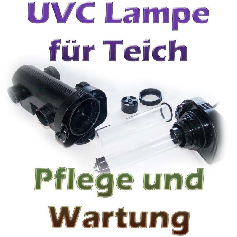 Uvc Lampe
 UVC Lampe am Teich Pflege und Wartung
