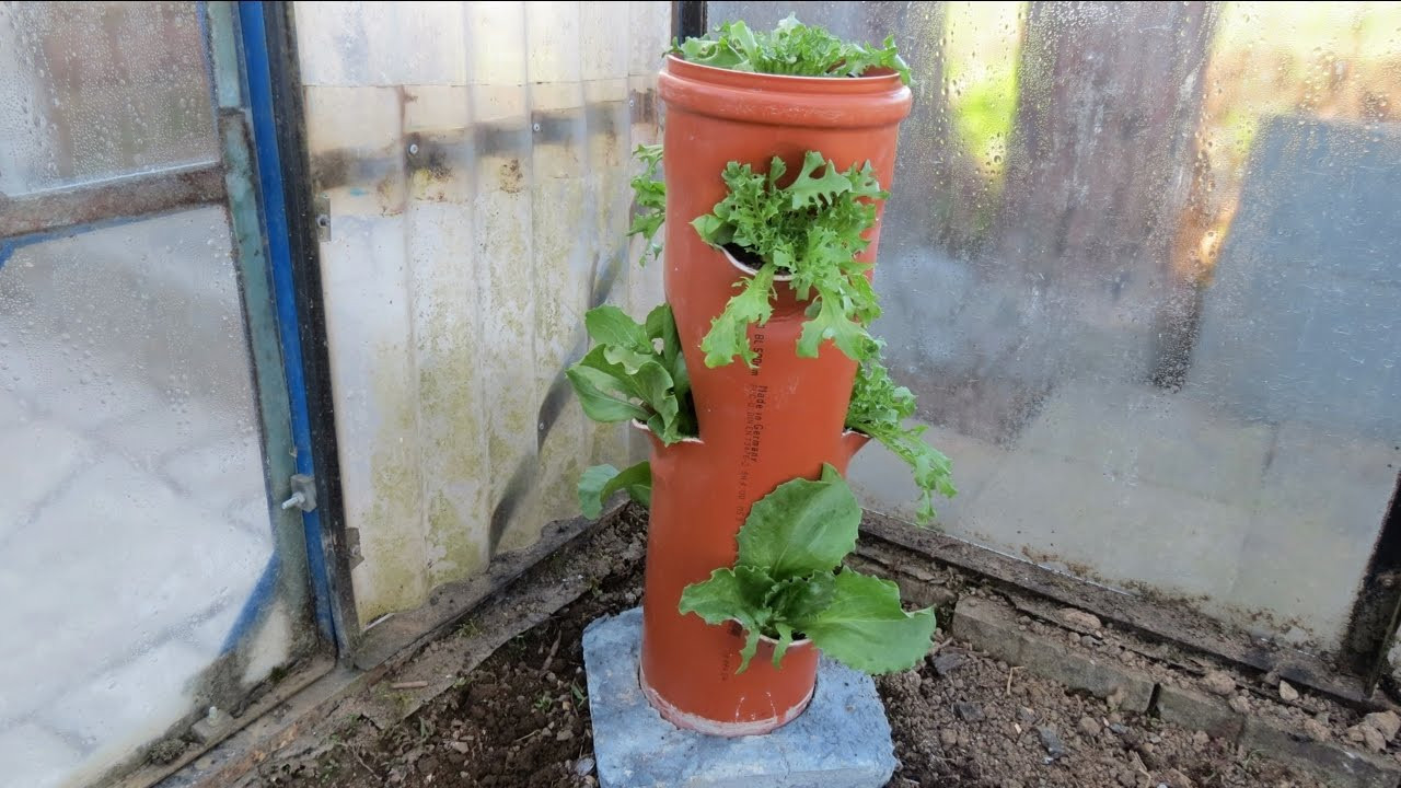 Vertikaler Garten
 Vertikaler Garten für Gemüse selber machen