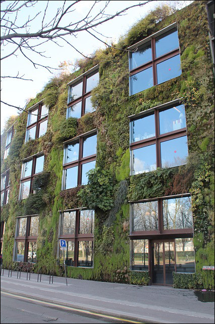 Vertikaler Garten
 Ein Vertikaler Garten bringt Natur direkt zu Ihnen