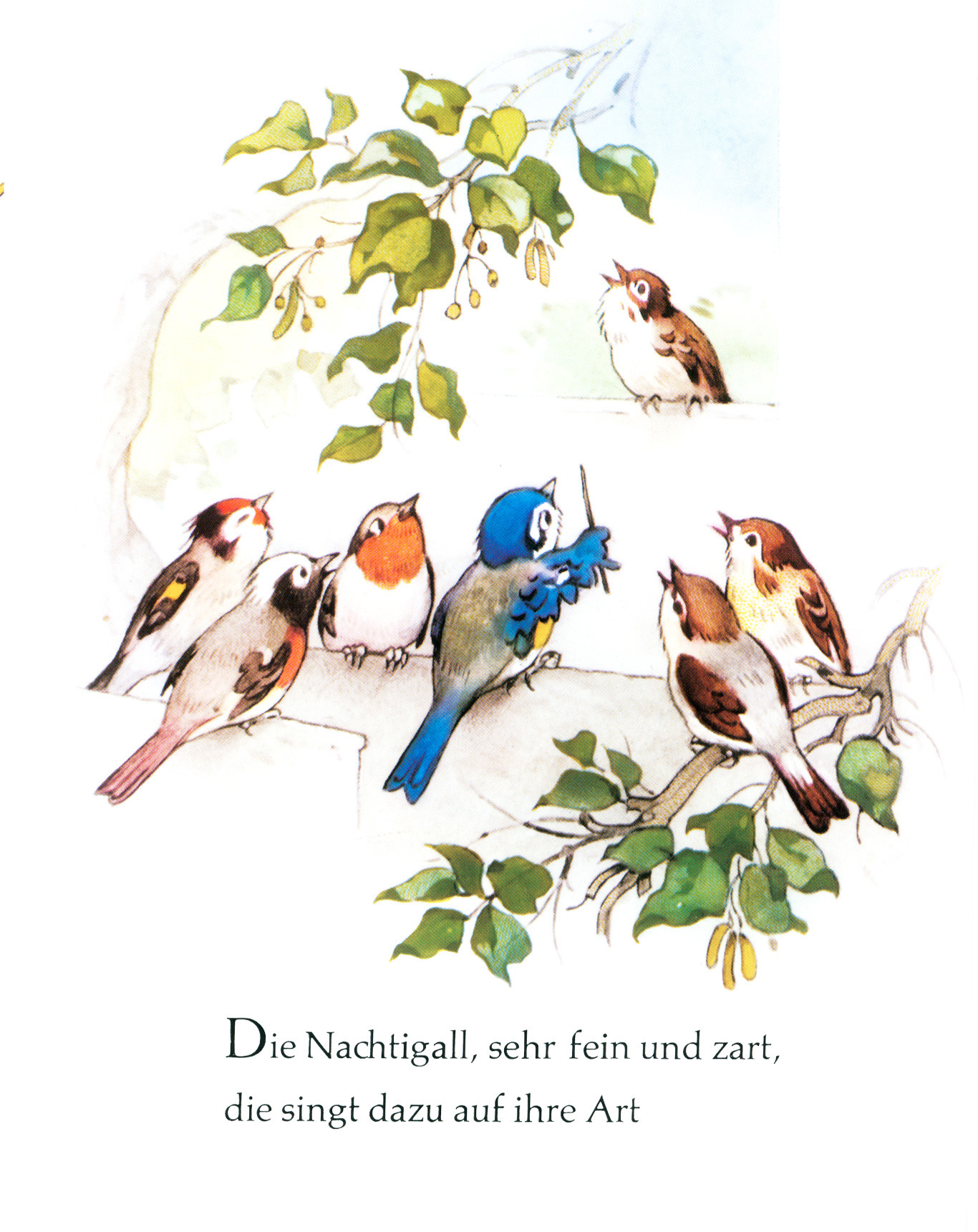 Vogel Hochzeit
 "Die Vogelhochzeit" Kinderbuch vom Verlag Beltz & Gelberg