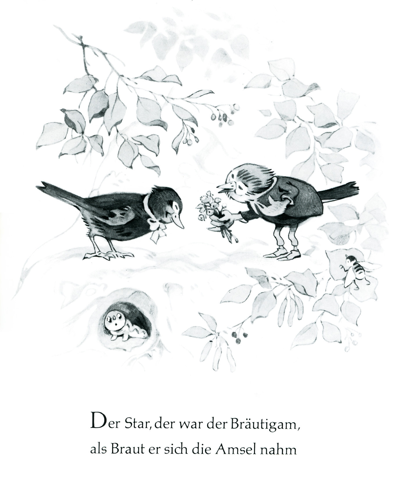 Vogel Hochzeit
 "Die Vogelhochzeit" Kinderbuch vom Verlag Beltz & Gelberg