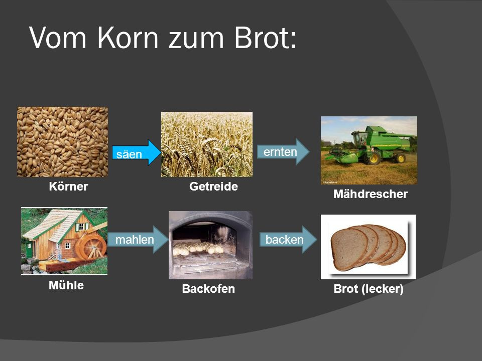 Vom Korn Zum Brot Ausmalbilder
 1 Unser tägliches BROT Von Mika Römer 6b DSB ppt video