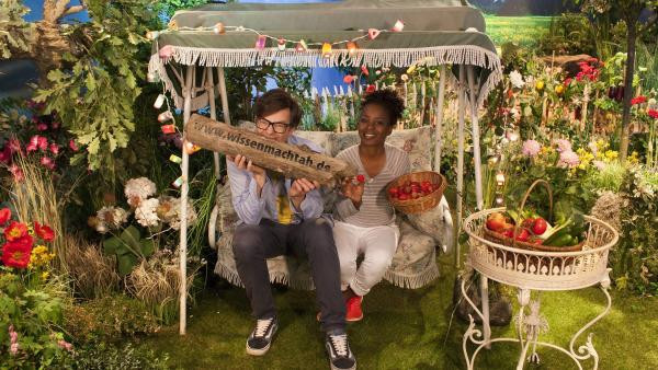 Was Sagt Man Zur Hochzeit
 KiKA Shary und Ralph Arten im Garten