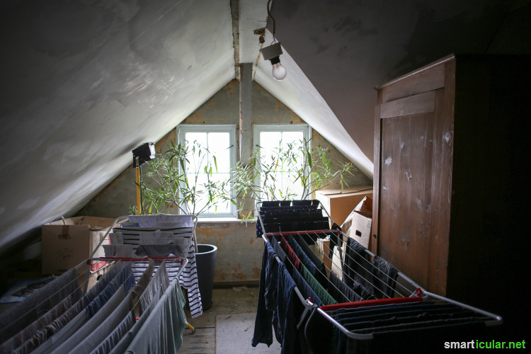 Wäsche In Wohnung Trocknen
 Wäsche im Freien trocknen bei jedem Wetter auch im Winter