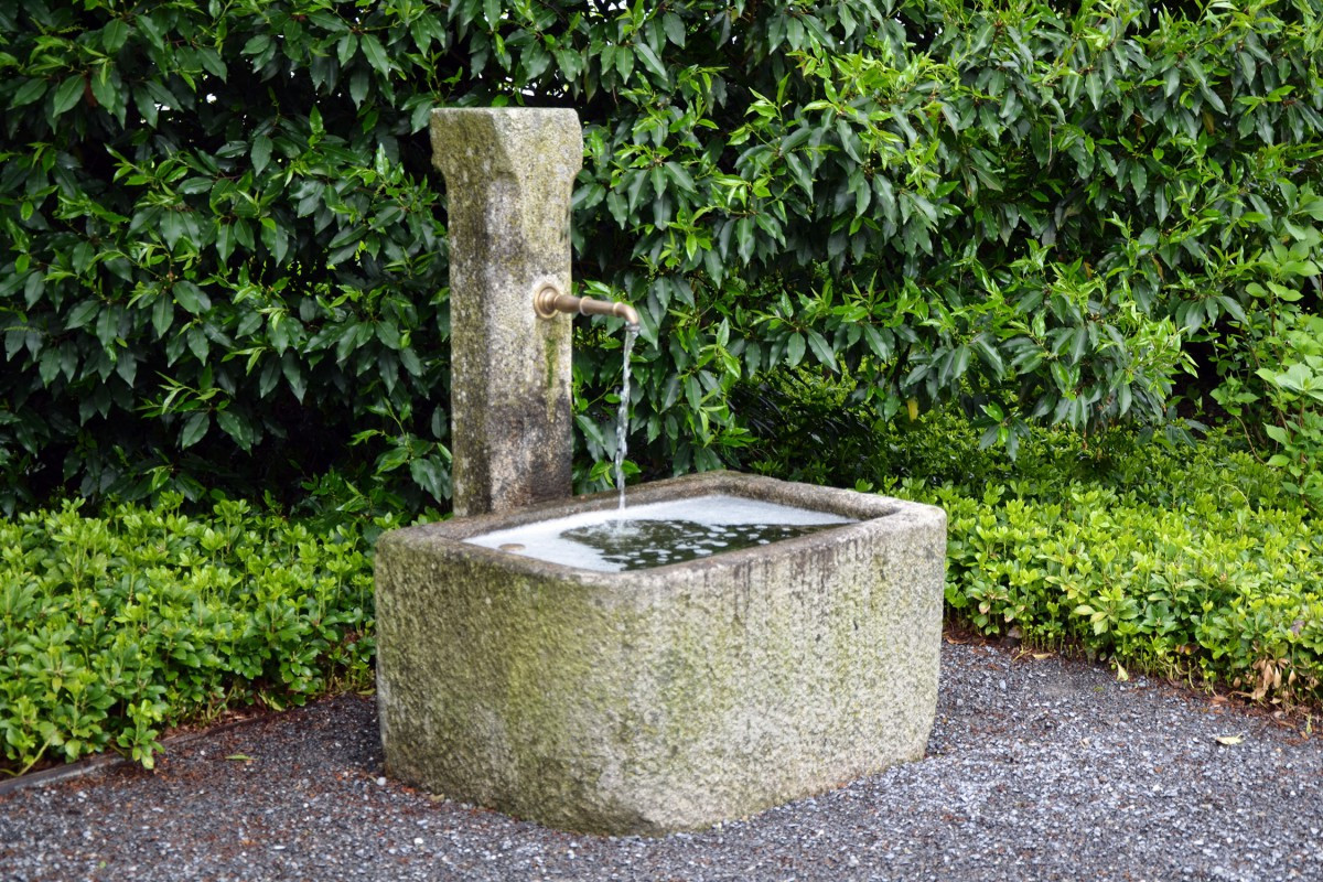 Wasser Im Garten
 Wasser im Garten – Kreative Gärten