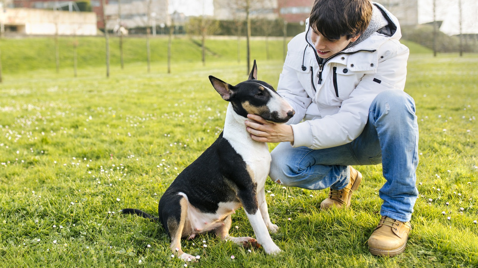 Wdr Tiere Suchen Ein Zuhause
 Was braucht ein Hund zum Glücklichsein