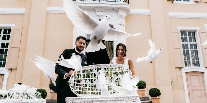 Weiße Hochzeit
 Weiße Hochzeit im Schloss Miel I Fotostory zur Hochzeit