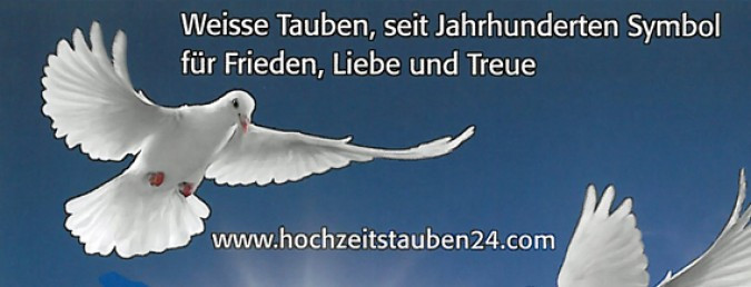 Weiße Tauben Für Hochzeit Kosten
 Ihre Hochzeit am Bodensee