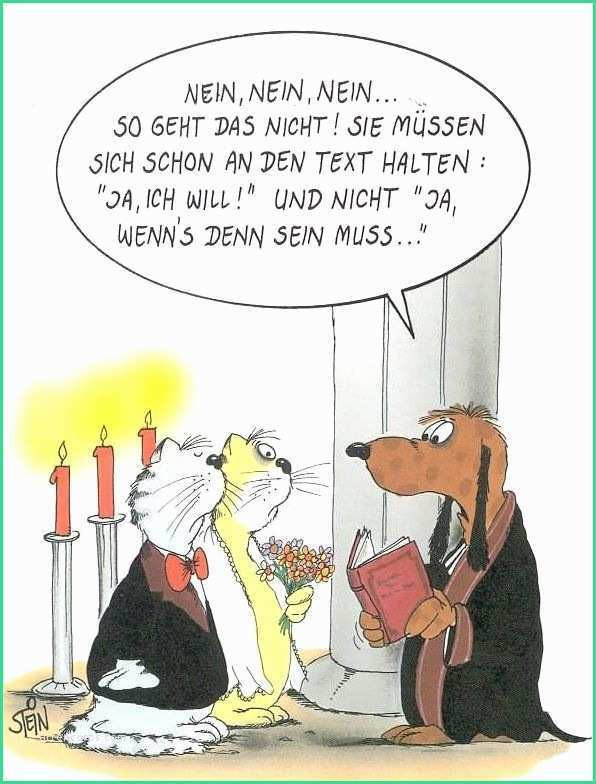 Witze Hochzeit
 Karikatur Hochzeit Lustig Bewundernswert Uli Stein Schule