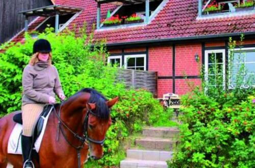 Wohnung Lüneburg
 Wohnung auf dem Reiterhof Wohnen mit Pferden in