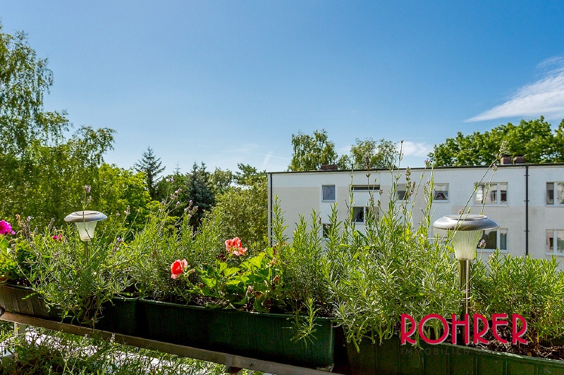 Wohnung Mieten Frohnau
 Wohnung Garten Berlin immobilien zum kauf in moltkestra e