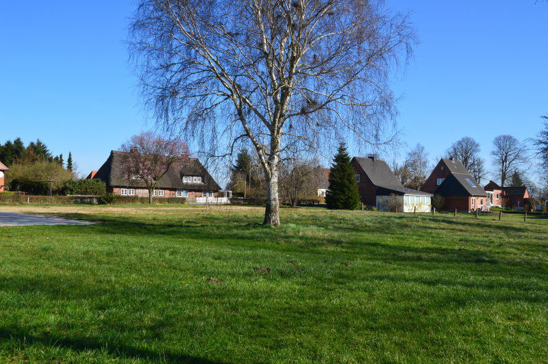 Wohnung Mieten Lütjenburg
 Grundstück kaufen in Plön Immobilien auf unserer