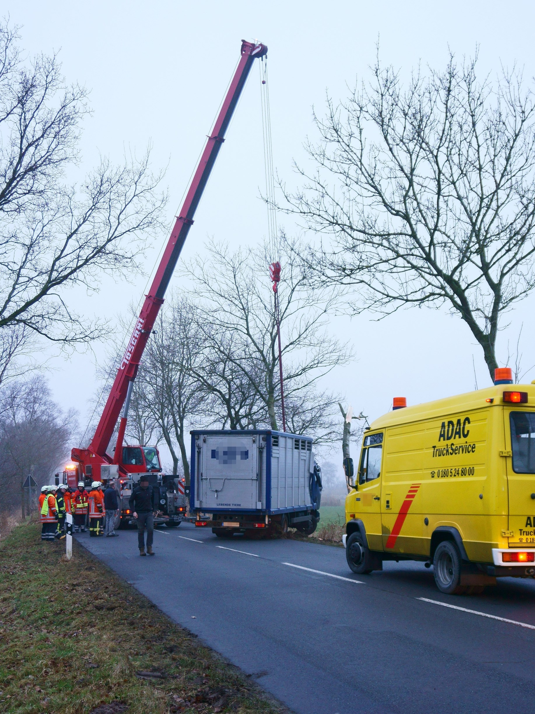 Wohnung Schiffdorf
 FW Schiffdorf Viehtransporter fährt gegen Baum