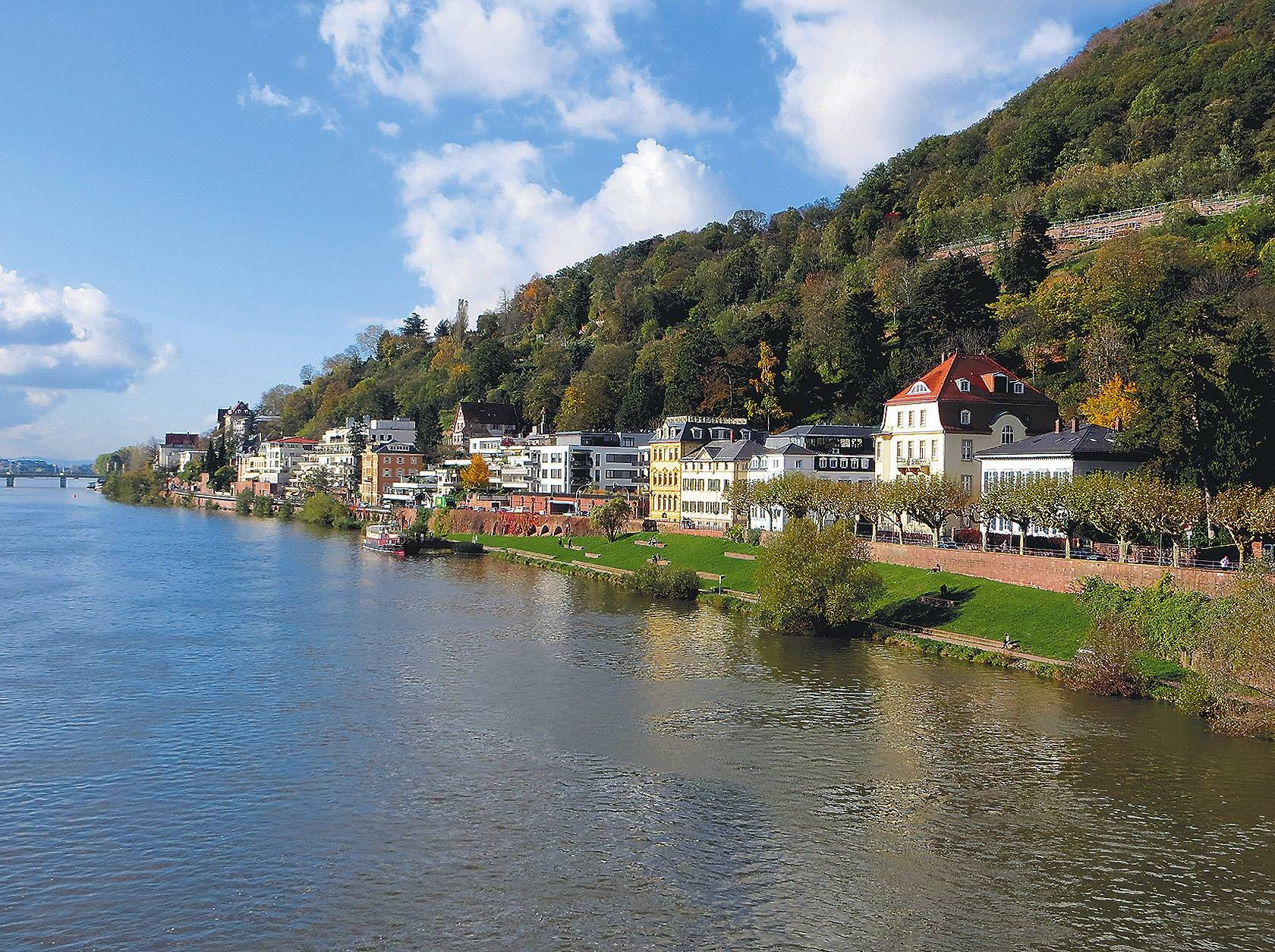 Wohnungen Heidelberg
 Heidelberg Sollen Besitzer für leerstehende Wohnungen