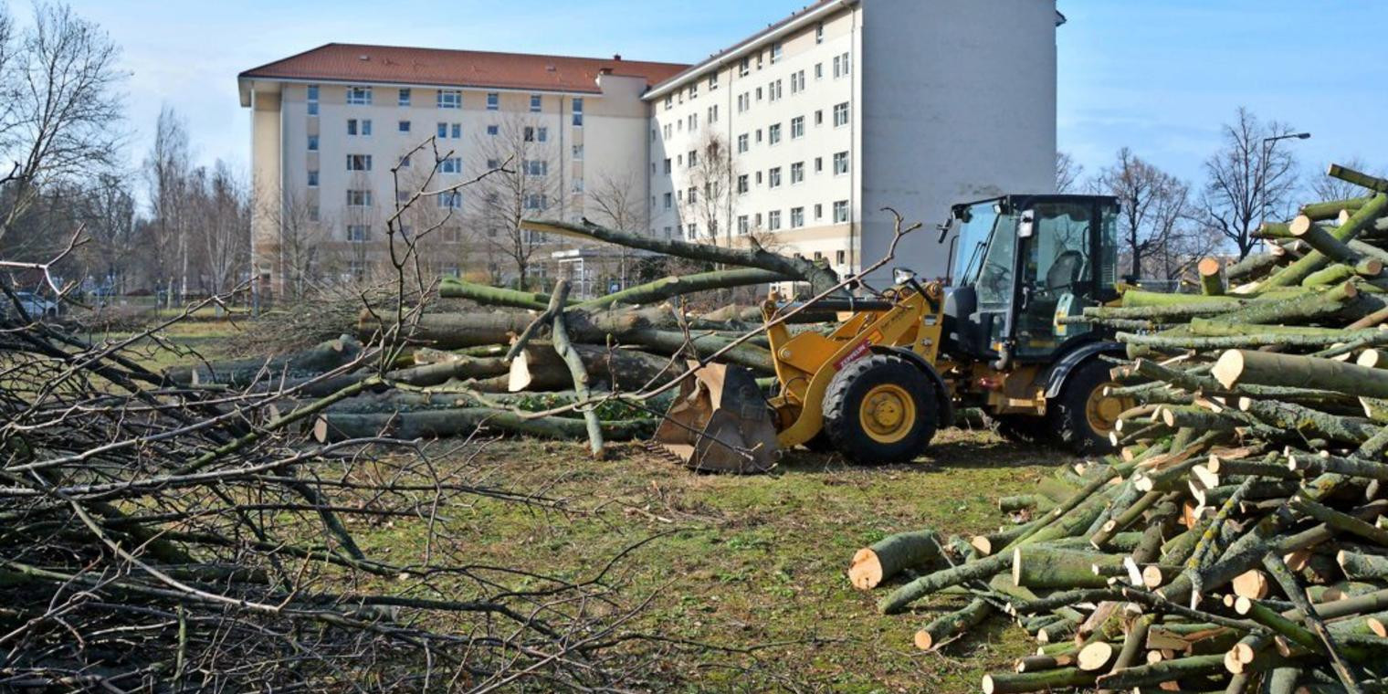 Wohnungen In Dresden
 Flüwo Genossenschaft bereitet Bau von Wohnungen in Dresden vor