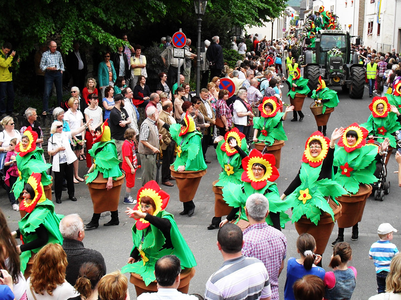 Wohnungen Koblenz Güls
 Blüten und Weinfest in Koblenz Güls Koblenz Touristik