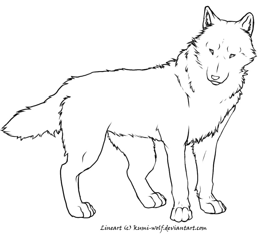 Wolf Ausmalbilder
 Realistic Wolf Coloring Pages Coloring Home