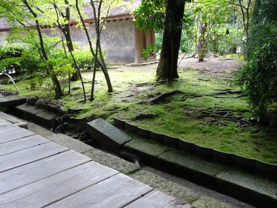Zen Garten
 Zen Garten Picture of Ryoanji Temple Kyoto TripAdvisor