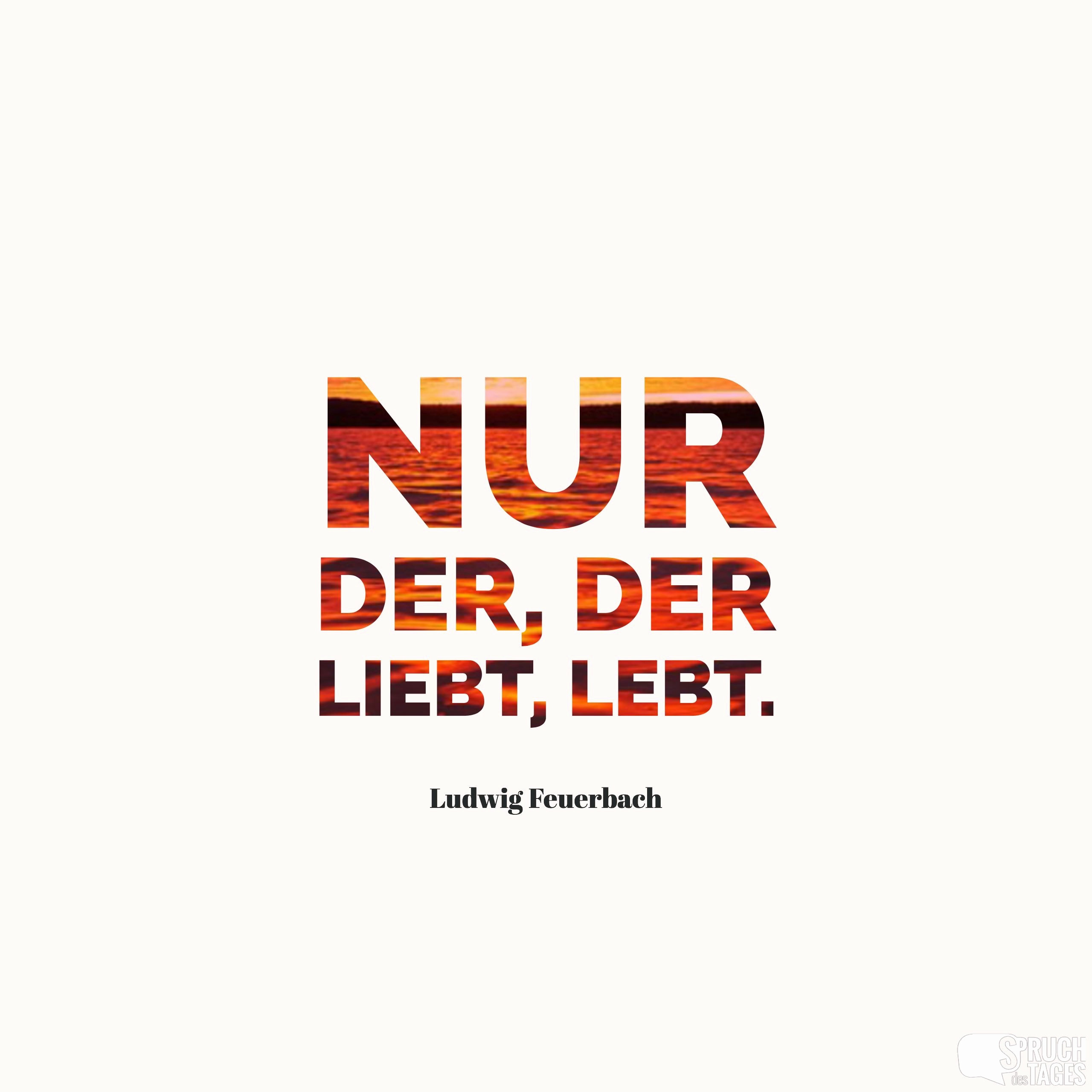 Zitate Hochzeit Lustig
 Zitate Hochzeit Lustig