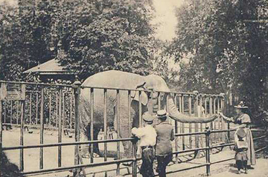 Zoologischer Garten Hamburg
 Zoological Garden of Hamburg