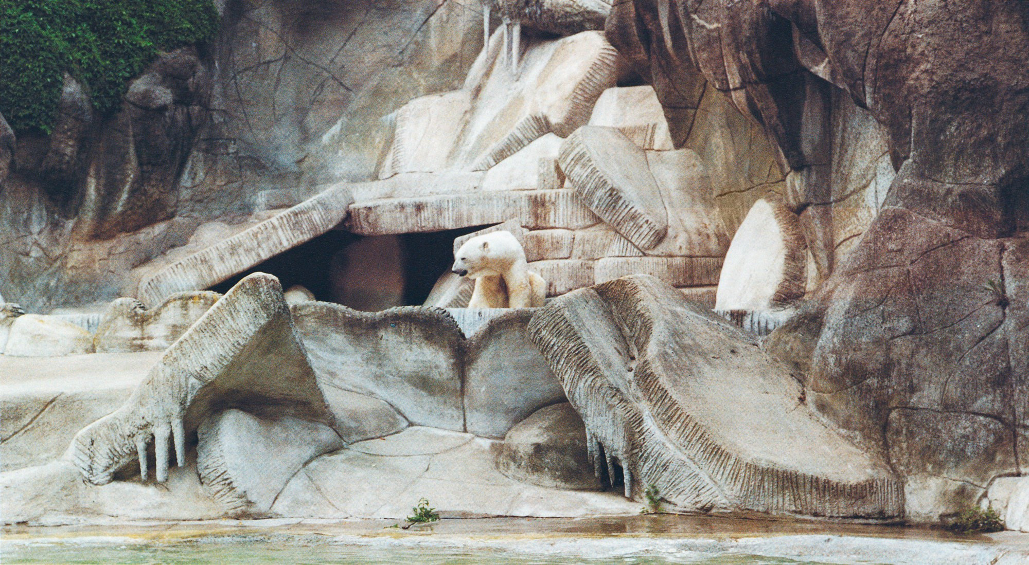 Zoologischer Garten Hamburg
 Levende monumenten of ambassadeurs van de soort – De